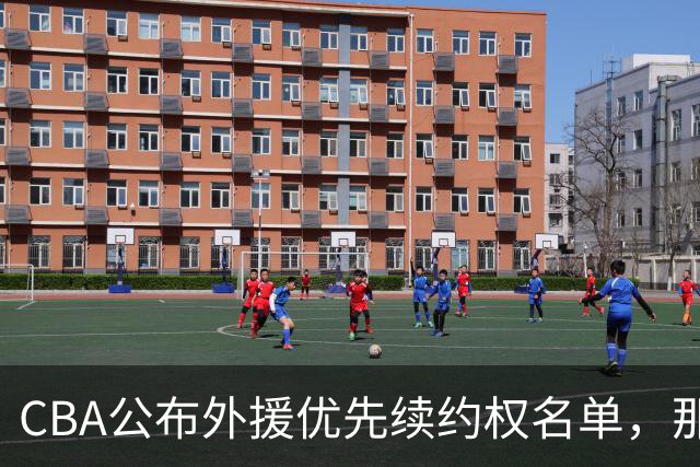 CBA公布外援优先续约权名单，那么除此之外，谁适合被捡漏呢？